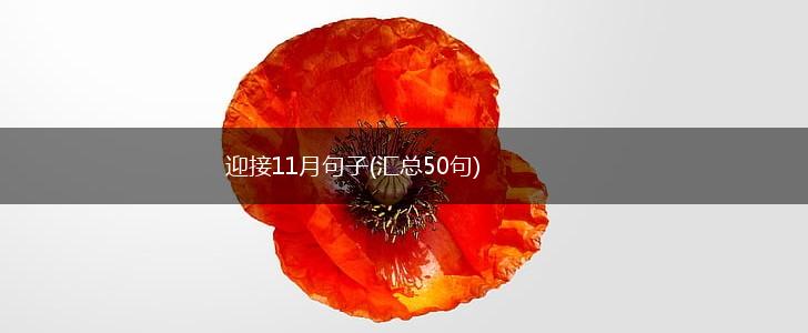 迎接11月句子(汇总50句),第1张