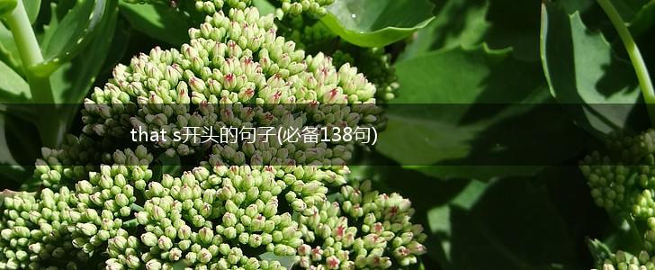 that s开头的句子(必备138句),第1张