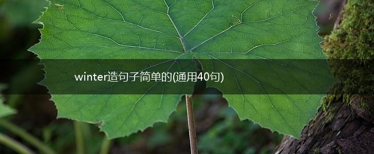 winter造句子简单的(通用40句),第1张