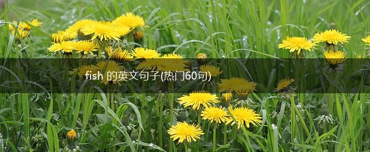 fish 的英文句子(热门60句),第1张