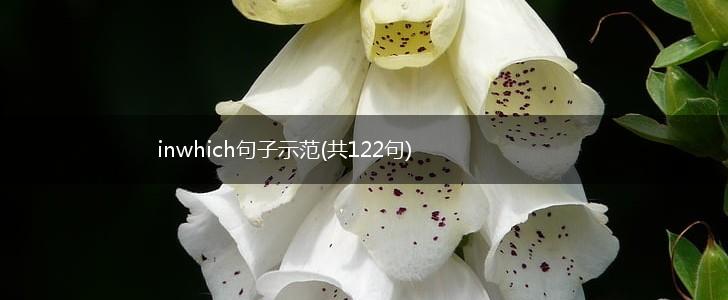 inwhich句子示范(共122句),第1张