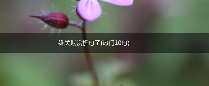 雄关赋赏析句子(热门10句),第1张