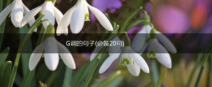G调的句子(必备20句),第1张