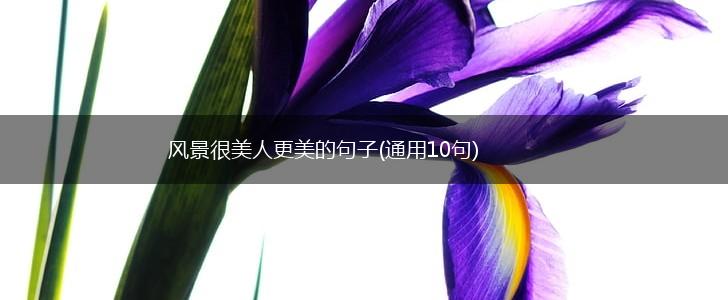 风景很美人更美的句子(通用10句),第1张