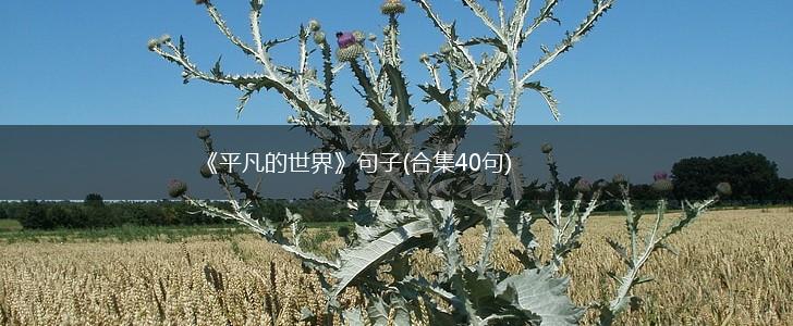 《平凡的世界》句子(合集40句),第1张