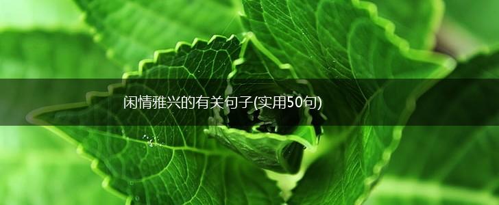 闲情雅兴的有关句子(实用50句),第1张