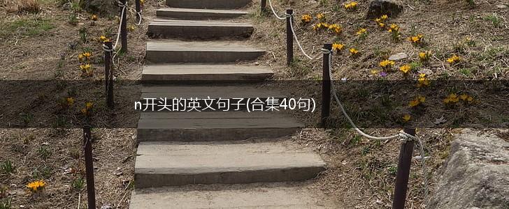 n开头的英文句子(合集40句),第1张