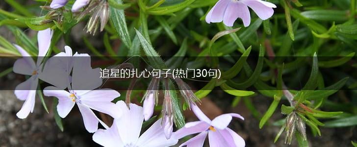 追星的扎心句子(热门30句),第1张