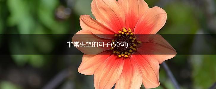非常失望的句子(50句),第1张