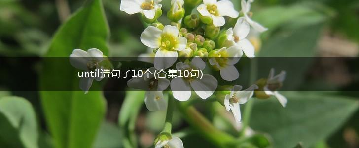 until造句子10个(合集10句),第1张