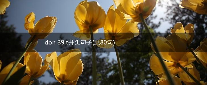 don 39 t开头句子(共80句),第1张