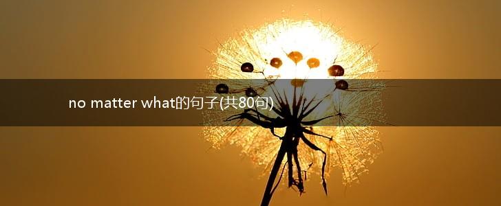no matter what的句子(共80句),第1张