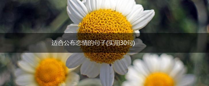 适合公布恋情的句子(实用30句),第1张