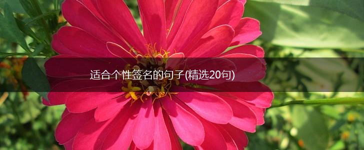 适合个性签名的句子(精选20句),第1张