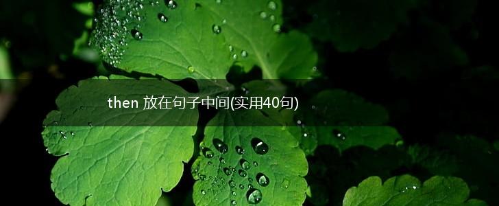 then 放在句子中间(实用40句),第1张