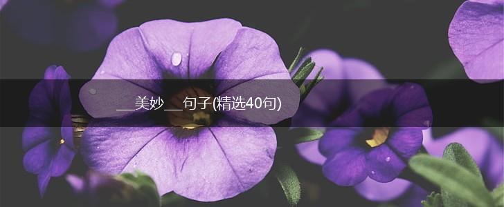 ___美妙___句子(精选40句),第1张