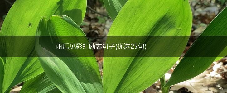 雨后见彩虹励志句子(优选25句),第1张
