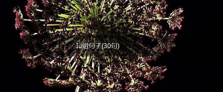 Iu组句子(30句),第1张