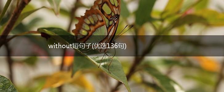 without短句子(优选136句),第1张