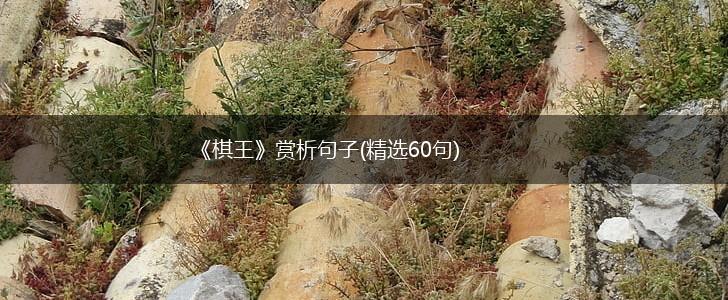 《棋王》赏析句子(精选60句),第1张