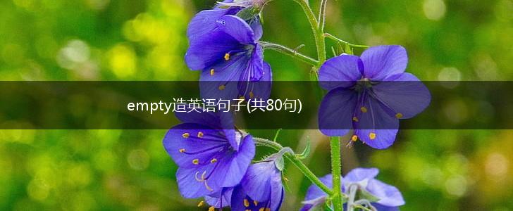empty造英语句子(共80句),第1张