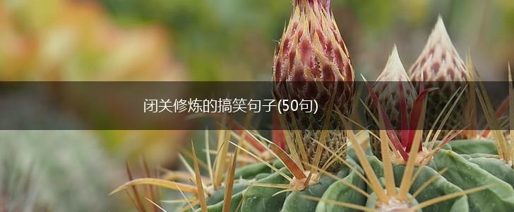闭关修炼的搞笑句子(50句),第1张