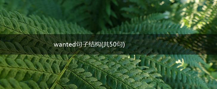 wanted句子结构(共50句),第1张