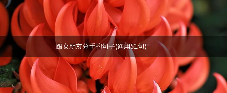 跟女朋友分手的句子(通用51句),第1张
