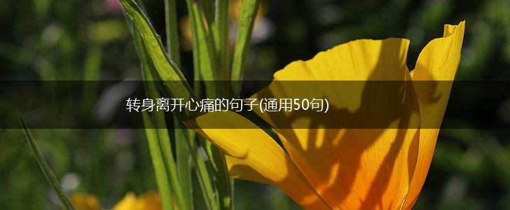转身离开心痛的句子(通用50句),第1张