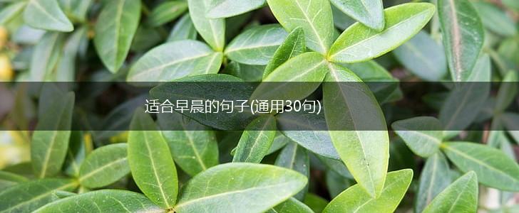 适合早晨的句子(通用30句),第1张