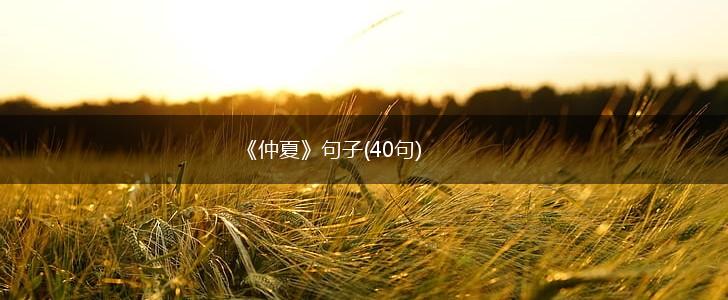 《仲夏》句子(40句),第1张