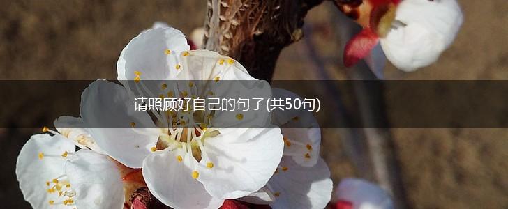 请照顾好自己的句子(共50句),第1张