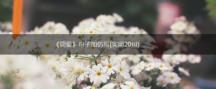 《简爱》句子加仿写(实用20句),第1张