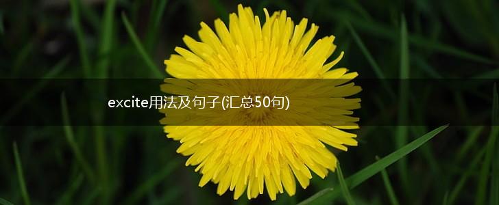 excite用法及句子(汇总50句),第1张