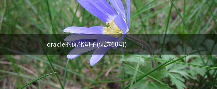 oracle的优化句子(优选60句),第1张