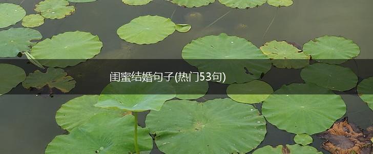 闺蜜结婚句子(热门53句),第1张