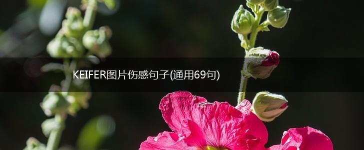 KEIFER图片伤感句子(通用69句),第1张