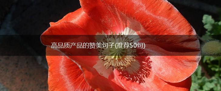 高品质产品的赞美句子(推荐50句),第1张