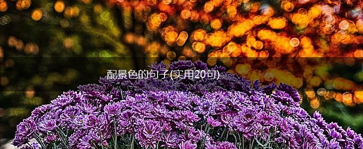 配景色的句子(实用20句),第1张