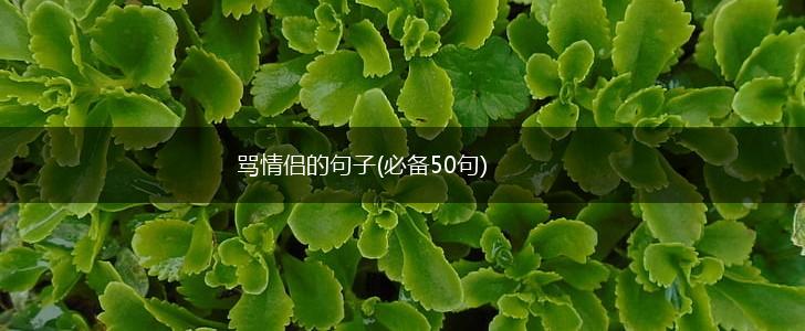 骂情侣的句子(必备50句),第1张