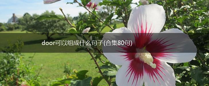 door可以组成什么句子(合集80句),第1张