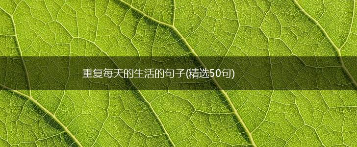 重复每天的生活的句子(精选50句),第1张