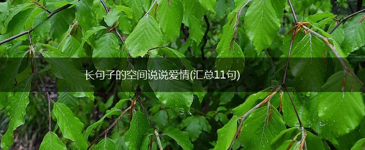 长句子的空间说说爱情(汇总11句),第1张