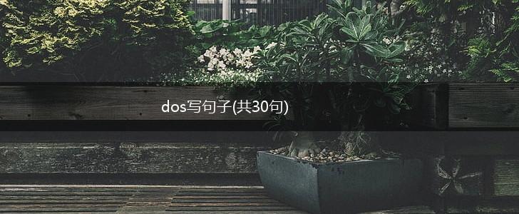 dos写句子(共30句),第1张