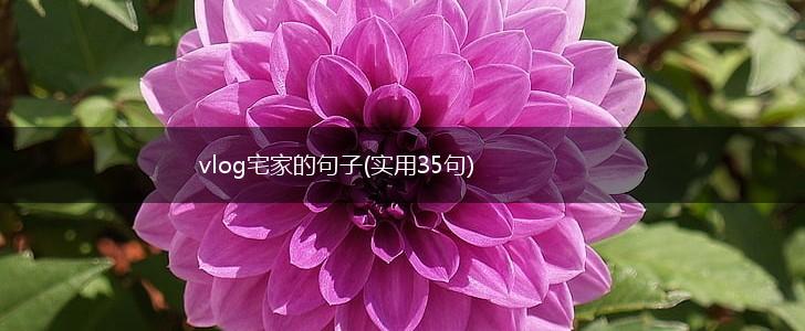 vlog宅家的句子(实用35句),第1张