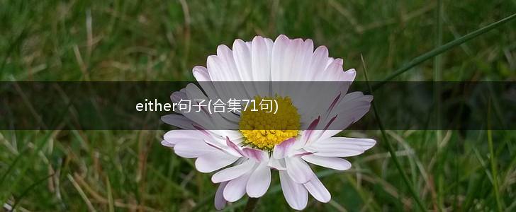 either句子(合集71句),第1张