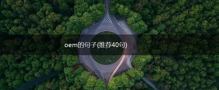 oem的句子(推荐40句),第1张