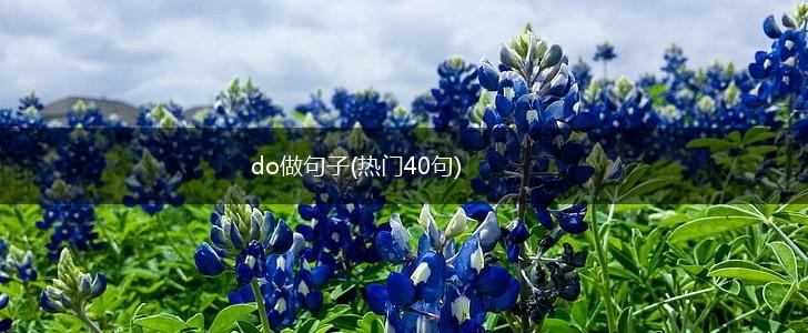 do做句子(热门40句),第1张