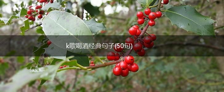 k歌喝酒经典句子(50句),第1张