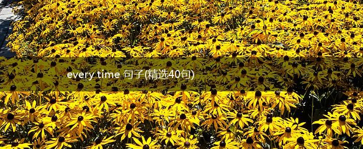 every time 句子(精选40句),第1张